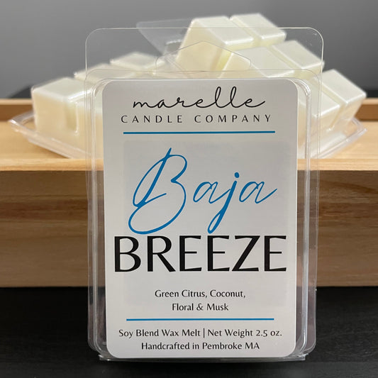 Baja Breeze ⁞ Wax Melt